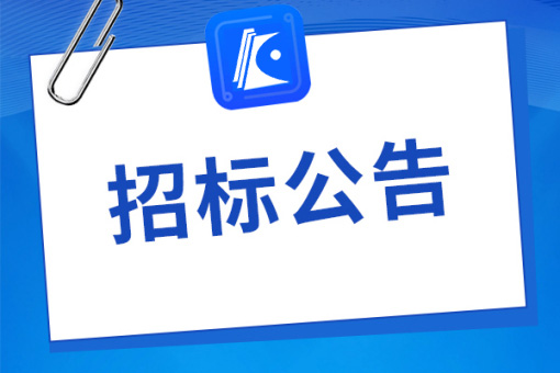 桐城经开区双创产业园光伏基地电池设备安装跟踪审计项目招标